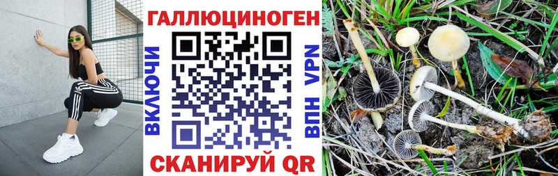 Галлюциногенные грибы ЛСД  Купить закладки  Саки 