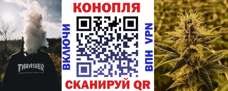 Канабис гибрид  Купить где  Саки 